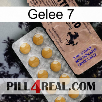 Jelly 7 41